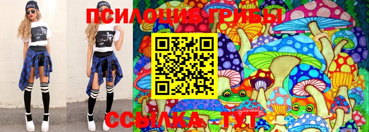Псилоцибиновые грибы ЛСД Славянск-на-Кубани