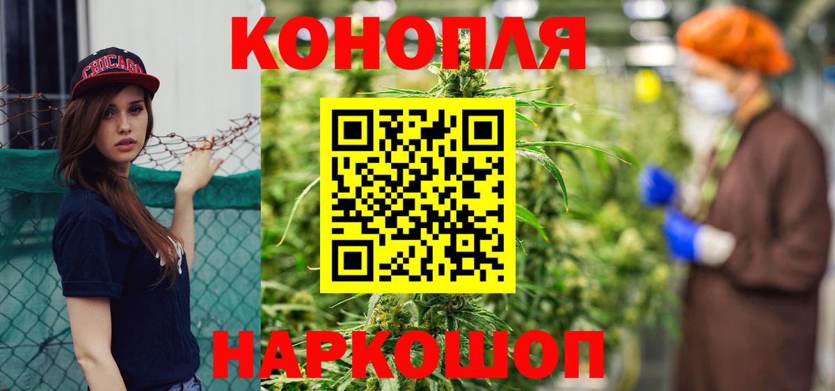 Бошки марихуана сатива Славянск-на-Кубани
